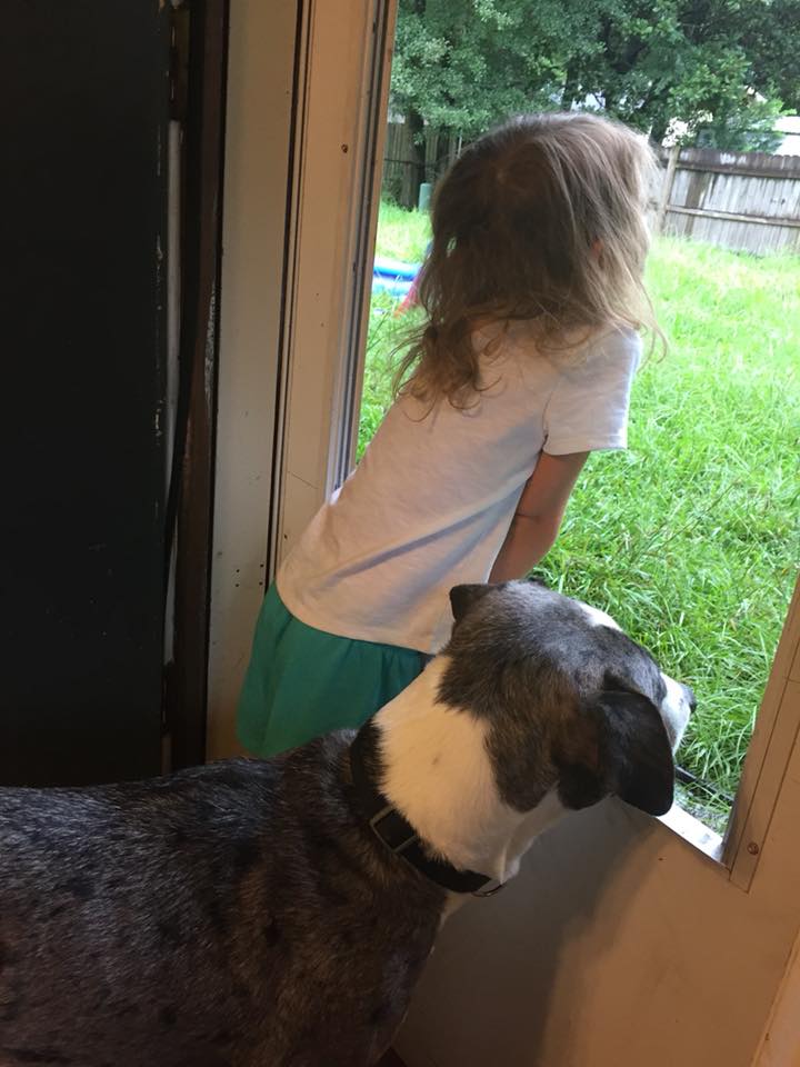 40673773_10204969357910069_7853393339058487296_n